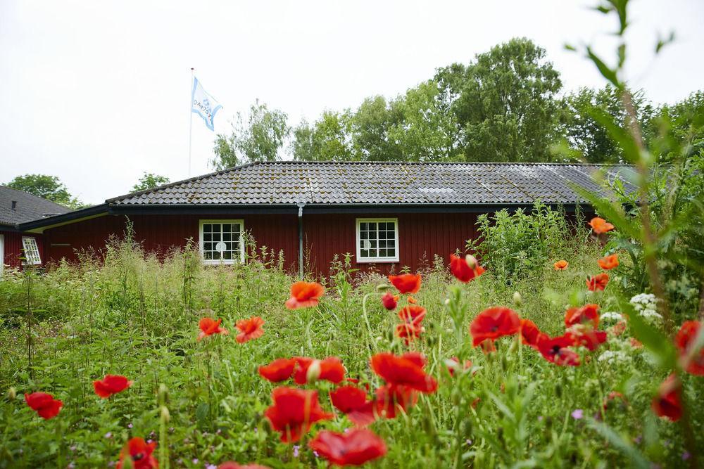 Kerteminde Hostel